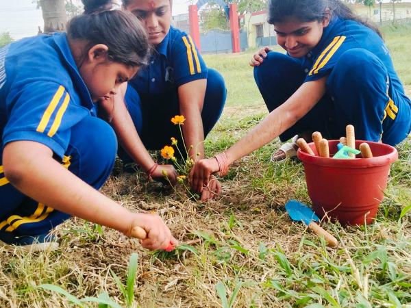 Planting 